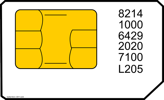 SIM-Karte, eSIM